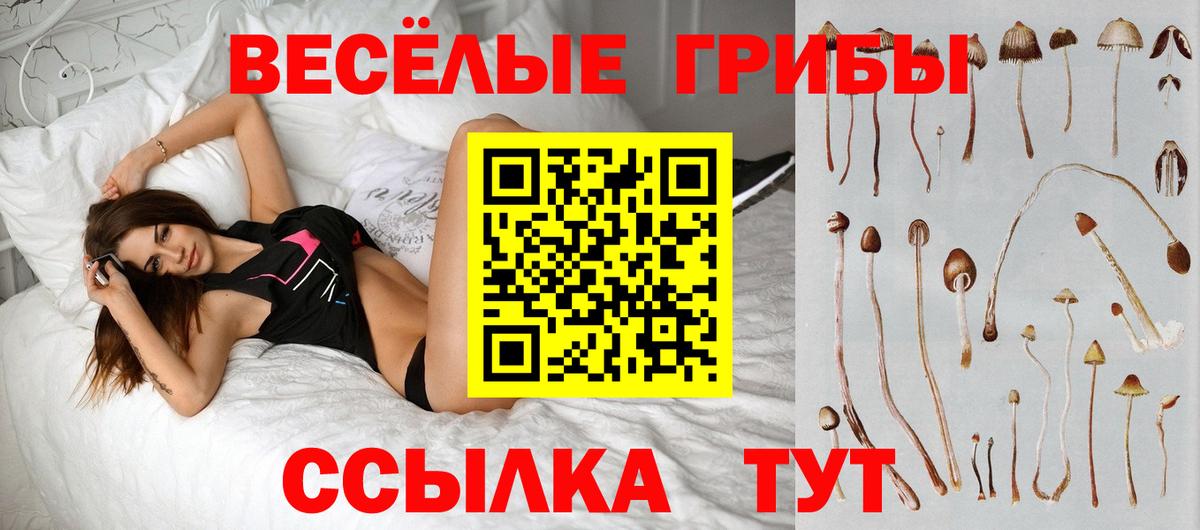 Воркута  Галлюциногенные грибы Cubensis  Вход с VPN 