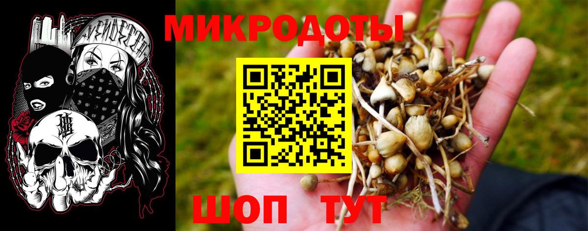 Галлюциногенные грибы прущие грибы Воркута